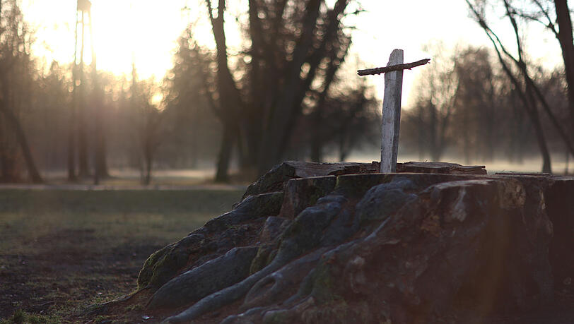 So schaut die Linde heute aus: ein Kreuz als mahnende Erinnerung. Klicken Sie durch die letzten jahres des Baumes im Englischen Garten. So schaut die Linde heute aus: ein Kreuz als mahnende Erinnerung. Klicken Sie durch die letzten jahres des Baumes im Englischen Garten.