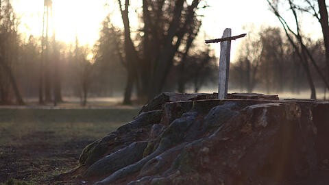So schaut die Linde heute aus: ein Kreuz als mahnende Erinnerung. Klicken Sie durch die letzten jahres des Baumes im Englischen Garten.