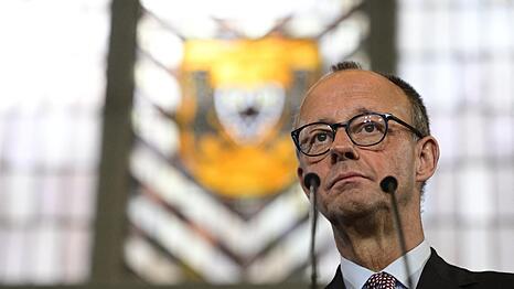 Bundeskanzler Friedrich Merz kommt in der Analyse der Politik-Professorin nicht gut weg. Dem Kanzler gelingt es womöglich nicht, für seine Rentenreform aus eigener Kraft eine Mehrheit zu finden.