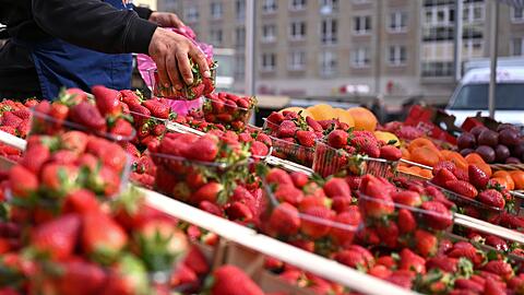 Die Lebensmittelpreise in Deutschland haben sich seit dem Ukraine-Krieg deutlich erh&ouml;ht (Archivbild)