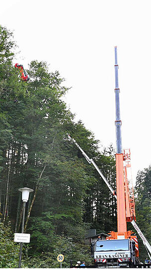Stundenlang hing der 60-Jährige im Baum fest, eher er gerettet werden konnte.
