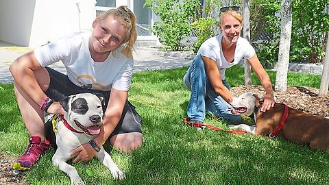 Sie kümmern sich um die beiden American Staffordshire Terrier (v.l.): Sabrina Bock und Nina Jank vom Tierheim.
