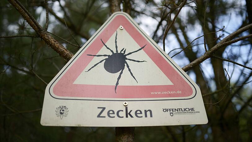 Ein Schild warnt in einem Wald bei vor Zecken. (Symbolbild)