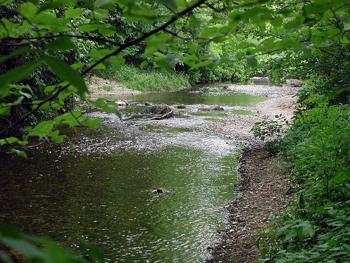 Viel Städtisches gibt es in Pasing &ndash; aber auch viel Natur.