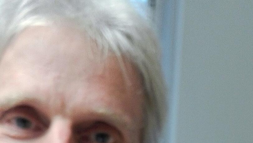 Ein willkommener Gast - zumindest für Martin Hänsel: Während des Telefonats mit der AZ über Stinkwanzen fliegt dem Naturschützer ein Exemplar ins Büro - die Kollegen halten den Moment per Bild fest. Ein willkommener Gast - zumindest für Martin Hänsel: Während des Telefonats mit der AZ über Stinkwanzen fliegt dem Naturschützer ein Exemplar ins Büro - die Kollegen halten den Moment per Bild fest.