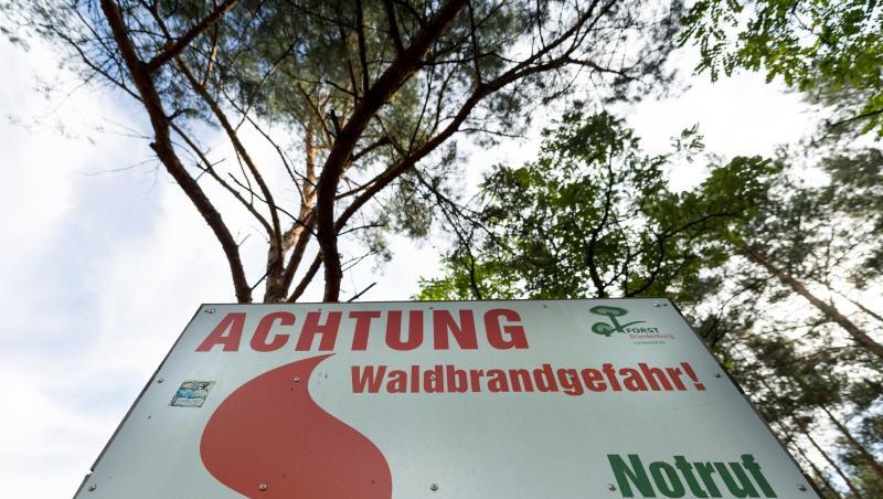 Eine Info-Tafel warnt im brandenburgischen Halbe vor Waldbrandgefahr. Eine Info-Tafel warnt im brandenburgischen Halbe vor Waldbrandgefahr.