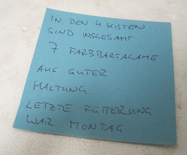 &bdquo;Degoutant&ldquo; finden die Mitarbeiter der Auffangstation den Hinweis auf die &bdquo;gute Haltung&ldquo; der Tiere.