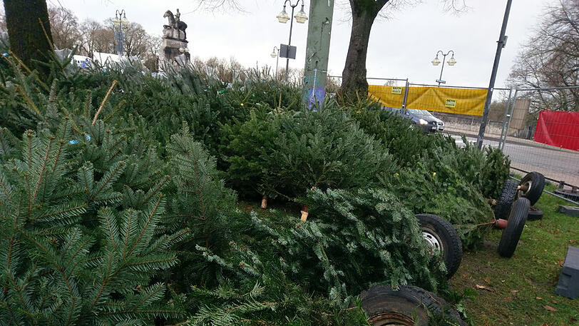 Die Christbäume am Verkaufsstand an der Wittelsbacherbrücke wurden trotz Beschwerung einfach umgeweht.
