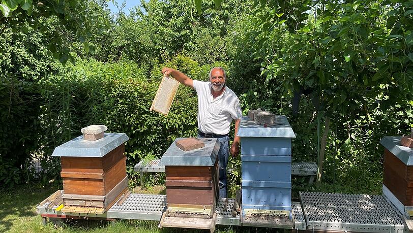 Bald wird geschleudert. Imker Payam mit seinen Bienen. Bald wird geschleudert. Imker Payam mit seinen Bienen.