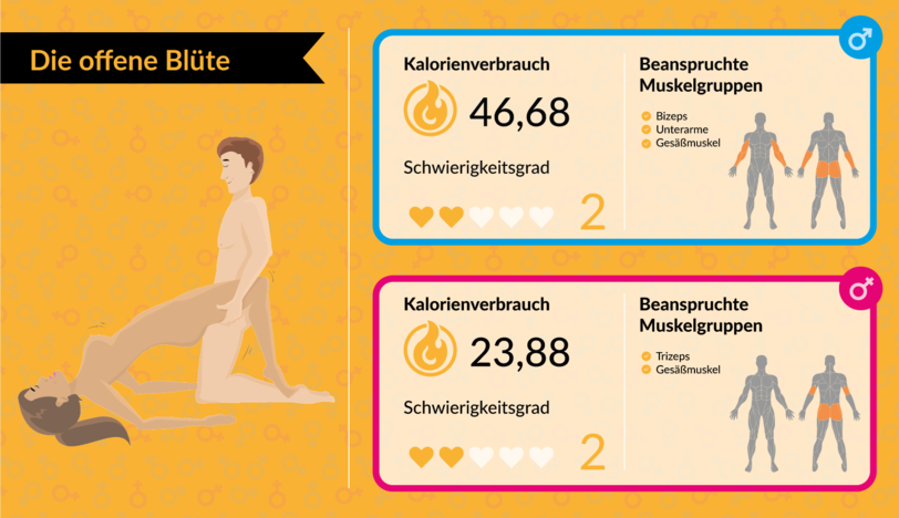 Mit Bettsport fit für den Sommer: Mit Sex abnehmen: Welche Stellungen am meisten Kalorien verbrennen - AZ-Ratgeber - Abendzeitung München