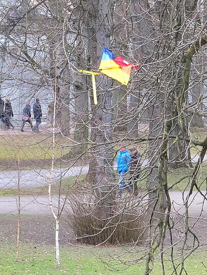 Die Eiche hat einen Winddrachen verschluckt.