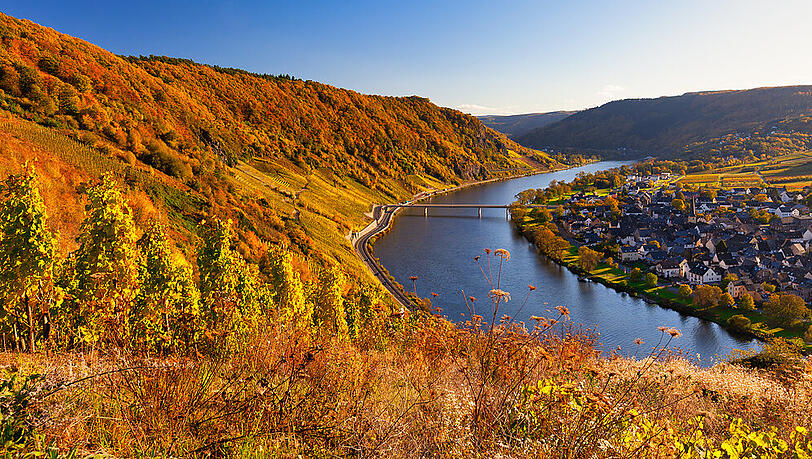 Im Herbst lockt die Moselregion viele Touristen an Im Herbst lockt die Moselregion viele Touristen an