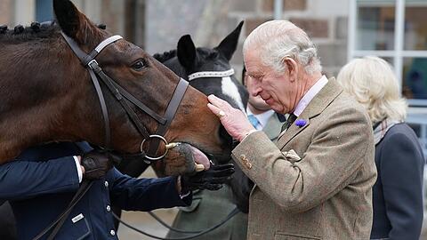 König Charles III. hat die angeblich rund 180 Pferde und Ponys von Queen Elizabeth II. geerbt.