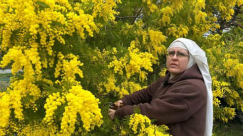 Schwester Paloma beklagt eine "Verfolgung" und bittet um Hilfe. (Handoutbild)