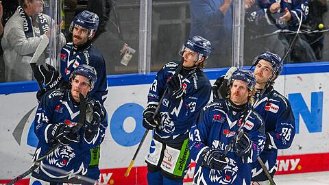 Die Straubing Tigers kassierten zuletzt wiederholt Niederlagen.