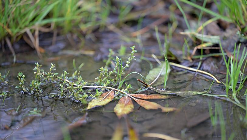 Regenschirm nicht vergessen: In einigen Regionen Bayerns kann es noch nass werden.