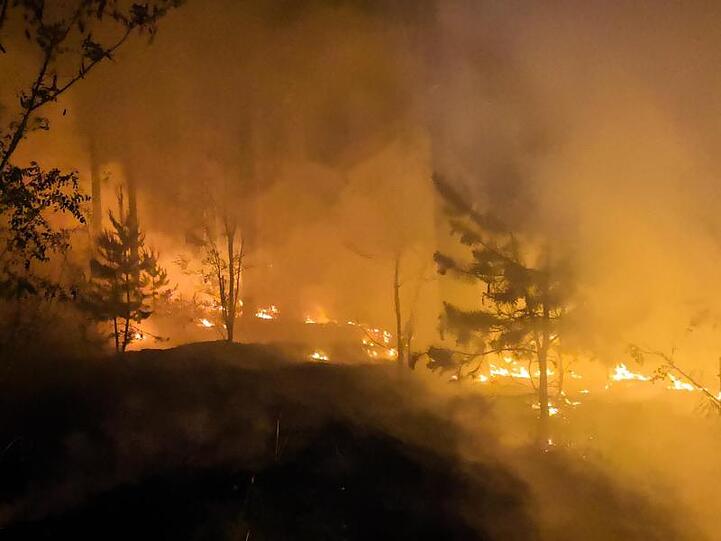 Der Waldbrand bei Jüterbog ist nach Einschätzung des Umweltministeriums der größte in Brandenburg seit der Wende.