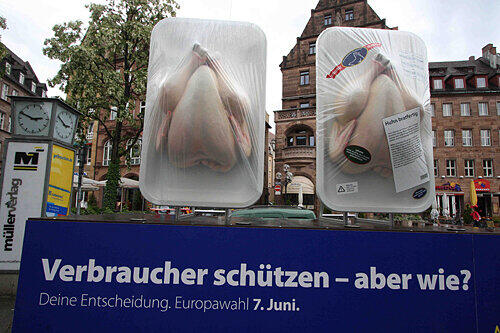Fünf Meter breit und 3.90 Meter hoch ist die Hähnchen-Skulptur auf dem Hallplatz, mit der das EU-Info-Büro für die Europa-Wahl am 7. Juni wirbt.