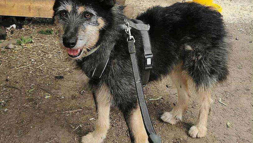 Nun w&auml;chst Paulis Vertrauen von Tag zu Tag.