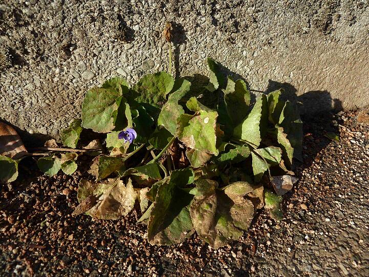 Und was ist das?