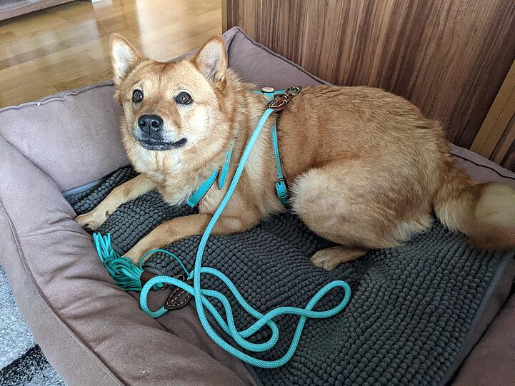Aika