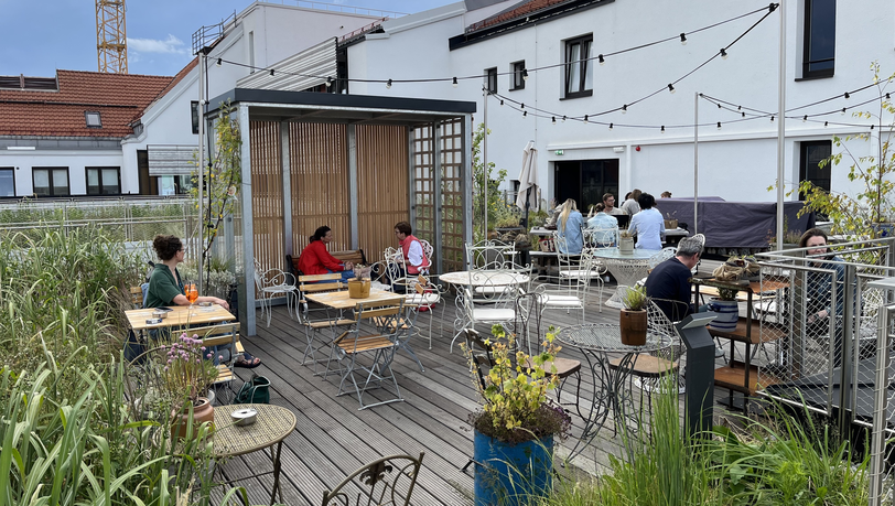 Der Blick auf die Ruby Rosi Dachterrasse: Wer auf der Terrasse sitzt, kann in der Ferne die Zwiebelspitzen der Frauenkirche sehen. Der Rest ist durch Häuserfassaden versteckt. Der Blick auf die Ruby Rosi Dachterrasse: Wer auf der Terrasse sitzt, kann in der Ferne die Zwiebelspitzen der Frauenkirche sehen. Der Rest ist durch Häuserfassaden versteckt.