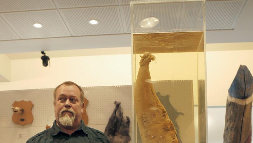 Der Isländer Hjörtur Gísli Sigurdsson ist Direktor des Phallus-Museums in Reykjavik. Der Isländer Hjörtur Gísli Sigurdsson ist Direktor des Phallus-Museums in Reykjavik.
