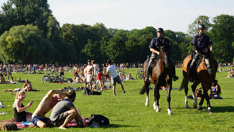 Auch Polizeipferde sind im Einsatz.