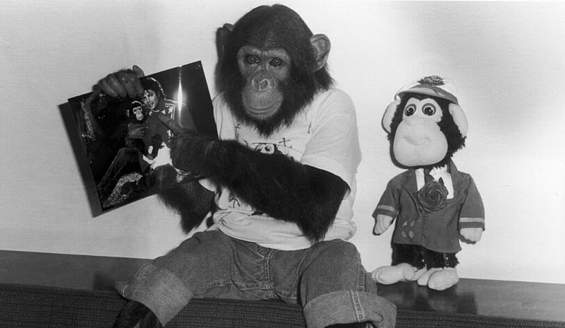 Michael Jacksons Affe Bubbles wird ein Biopic gewidmet. Warum auch nicht?