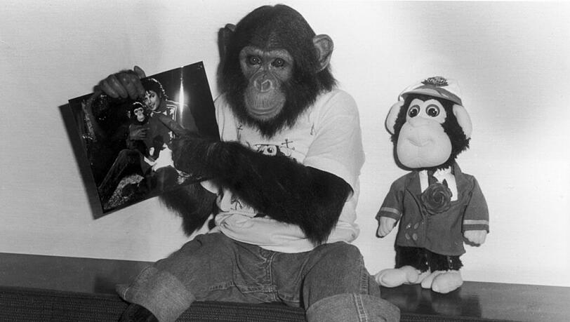 Michael Jacksons Affe Bubbles wird ein Biopic gewidmet. Warum auch nicht?