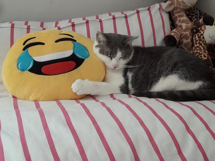 Luna