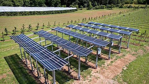 Durch die Y-f&ouml;rmige Anordnung der Module kann Regenwasser gesammelt werden.