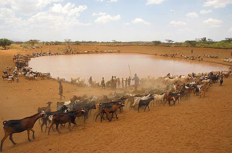 Eine Viehtränke mitten in Kenia: Fotos wie dieses machte der Biologe Fabian Haas auf seinen Reisen von Nairobi bis Turkanasee.