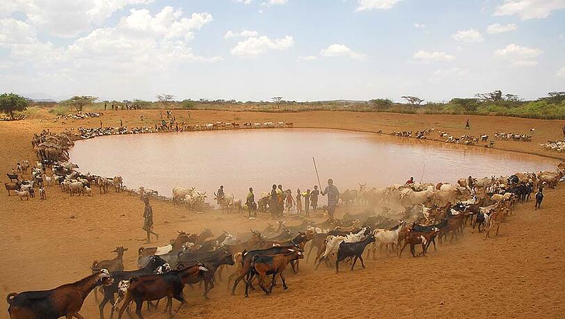 Eine Viehtränke mitten in Kenia: Fotos wie dieses machte der Biologe Fabian Haas auf seinen Reisen von Nairobi bis Turkanasee. Eine Viehtränke mitten in Kenia: Fotos wie dieses machte der Biologe Fabian Haas auf seinen Reisen von Nairobi bis Turkanasee.