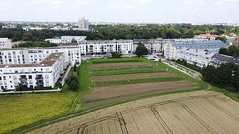 Dieses Erdbeerfeld an der Ottobrunner Straße wird bebaut.