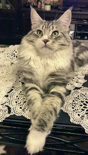 Billy