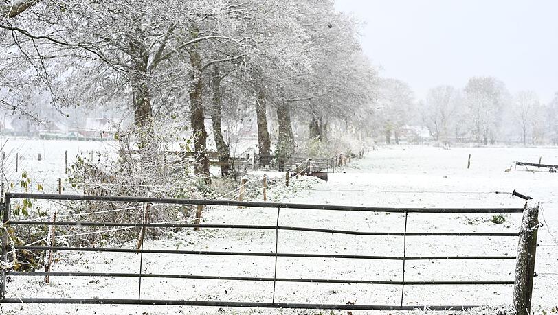 Weiteren Schnee sagt der Deutsche Wetterdienst fr&uuml;hestens am Sonntag vorher.
