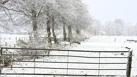 Weiteren Schnee sagt der Deutsche Wetterdienst fr&uuml;hestens am Sonntag vorher.