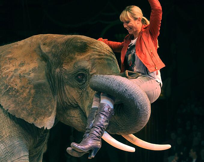 Vom Kaninchen über Hunde bis hin zu Elefanten (hier 2011 im Zirkus Krone) &ndash; Theiss liebt Tiere über alles.