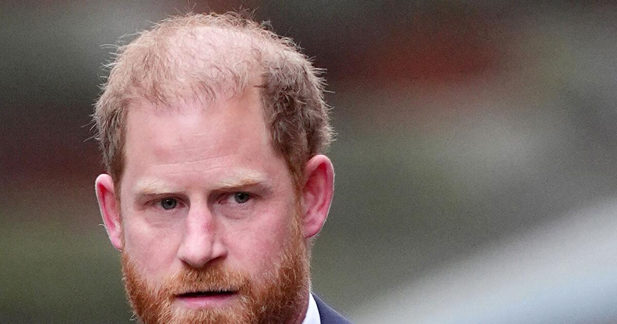 Prinz-Harry-fordert-von-Trump-Respekt-f-r-Nato-Verb-ndete