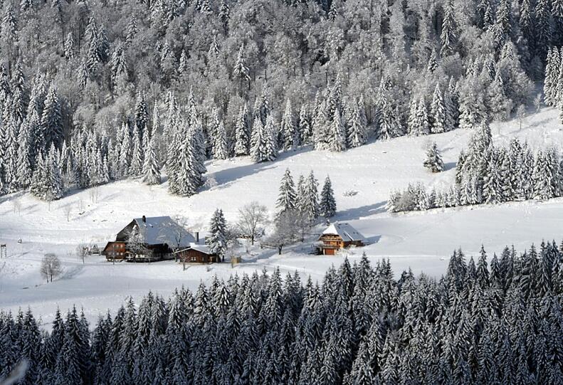 Die Skisaison ist in Deutschland eröffnet. Nicht nur in Feldberg (Baden-Württemberg) freuten sich die Freunde des Wintersport über weiße Pisten.