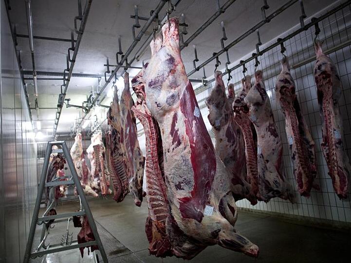 Nach vorheriger Betäubung ausgeblutete Rinder hängen im Kühlraum eines Schlachthofs. Der EuGH hat entschieden, dass Halal-Fleisch nicht als Bio-Produkt verkauft werden darf.