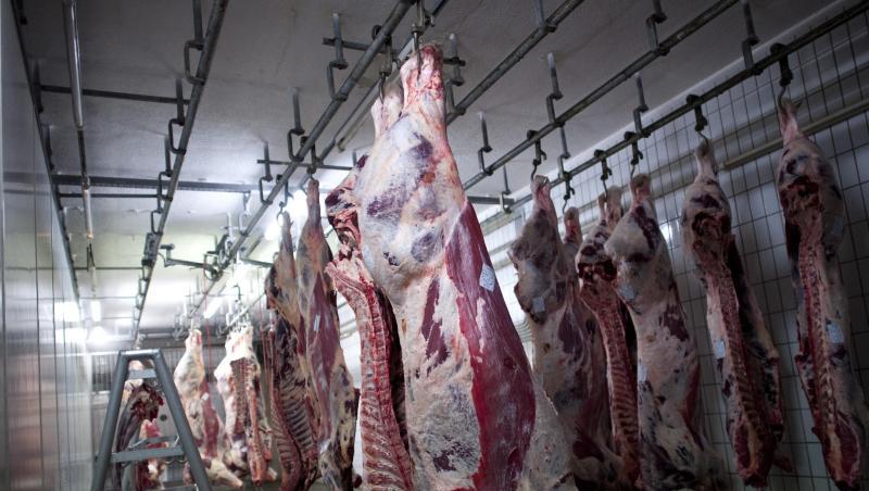 Nach vorheriger Betäubung ausgeblutete Rinder hängen im Kühlraum eines Schlachthofs. Der EuGH hat entschieden, dass Halal-Fleisch nicht als Bio-Produkt verkauft werden darf. Nach vorheriger Betäubung ausgeblutete Rinder hängen im Kühlraum eines Schlachthofs. Der EuGH hat entschieden, dass Halal-Fleisch nicht als Bio-Produkt verkauft werden darf.