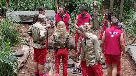 Der zweite Dschungelcamper ist raus. Wen hat es getroffen?