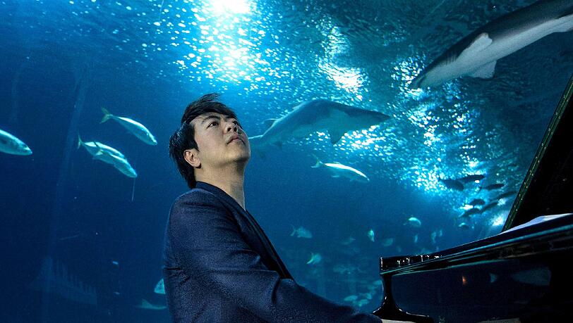 Lang Lang - hier nicht im Gasteig, sondern in einem Aquarium. Lang Lang - hier nicht im Gasteig, sondern in einem Aquarium.