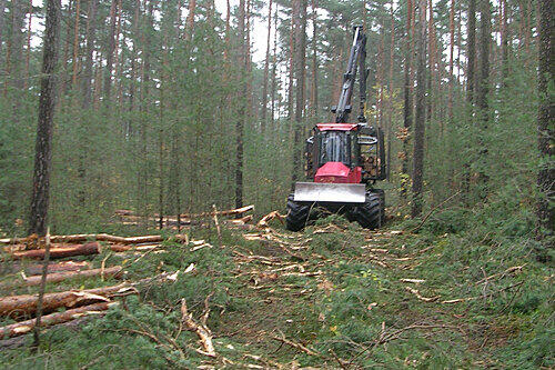 Riesige Maschinen schlagen Schneisen in den Wald: So sieht es derzeit nach den Forstarbeiten bei Weiherhaus aus.