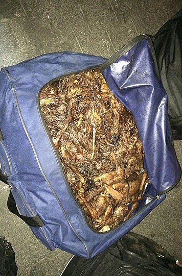 Insgesamt vier Taschen entdeckte die Polizei am Hauptbahnhof. Mit dem Inhalt hätten wohl die Wenigsten gerechnet.