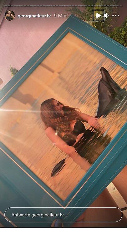 Georgina Fleur badet in der "Dophine Bay" im Atlantis Resort Dubai mit Delfinen. Tierschützer werfen den Veranstaltern Quälerei vor. Georgina Fleur badet in der "Dophine Bay" im Atlantis Resort Dubai mit Delfinen. Tierschützer werfen den Veranstaltern Quälerei vor.
