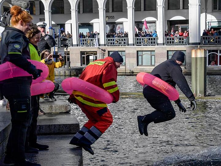 "Der öffentliche Dienst geht baden": Protestler springen in die Binnenalster.