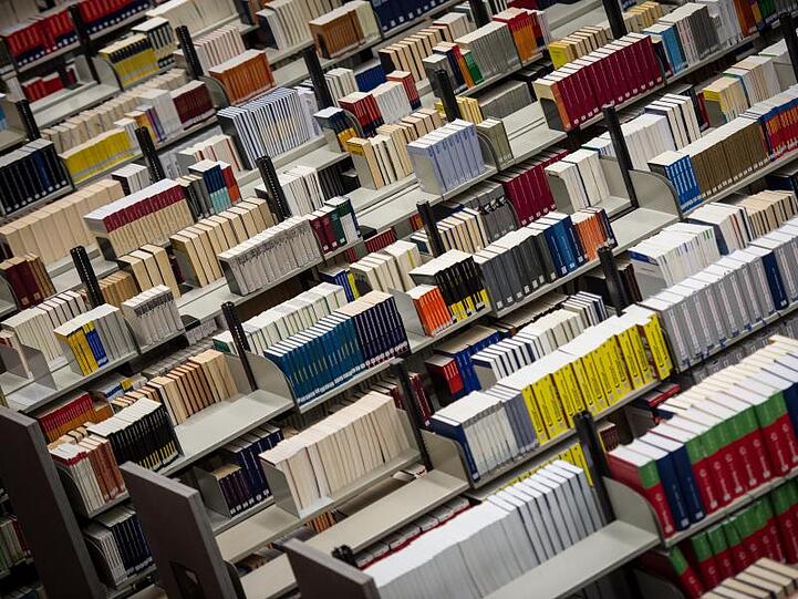 Bücher in einer Uni-Bibliothek. Foto: Maja Hitij/Archivbild